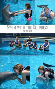 Swim with the Dolphins at Gulf World in Panama City Florida. It's lots of fun and a great experience for the kids!