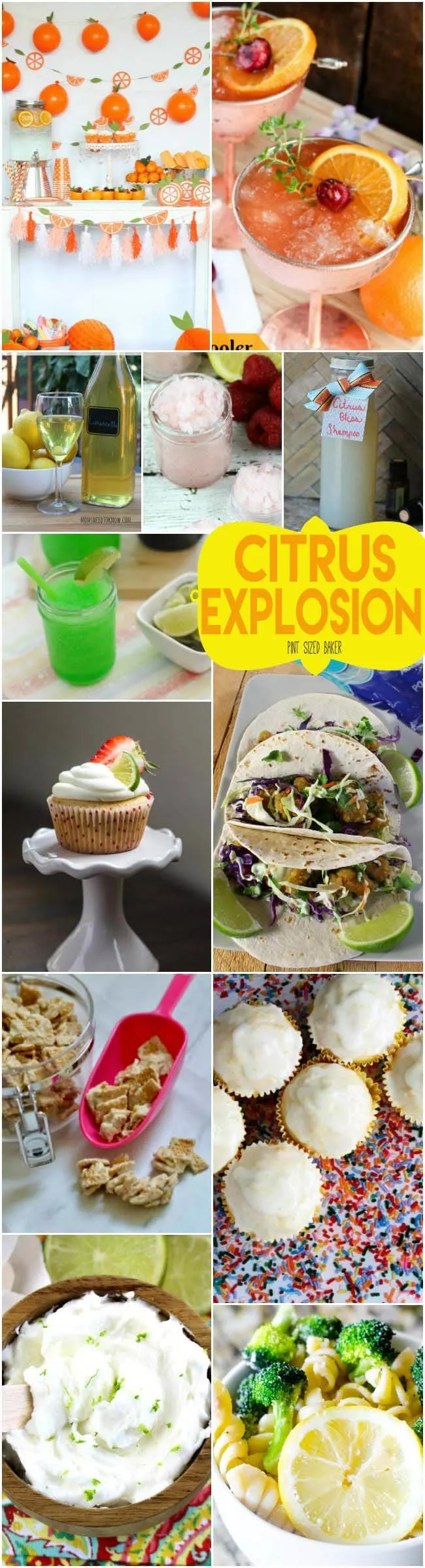 It's a Citrus Explosion - Recipes and DIY projects that are brimming with lemons, limes and oranges. The recipes taste great and the crafts smell wonderful!
