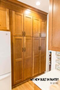 New built in pantry in kitchen renovation.