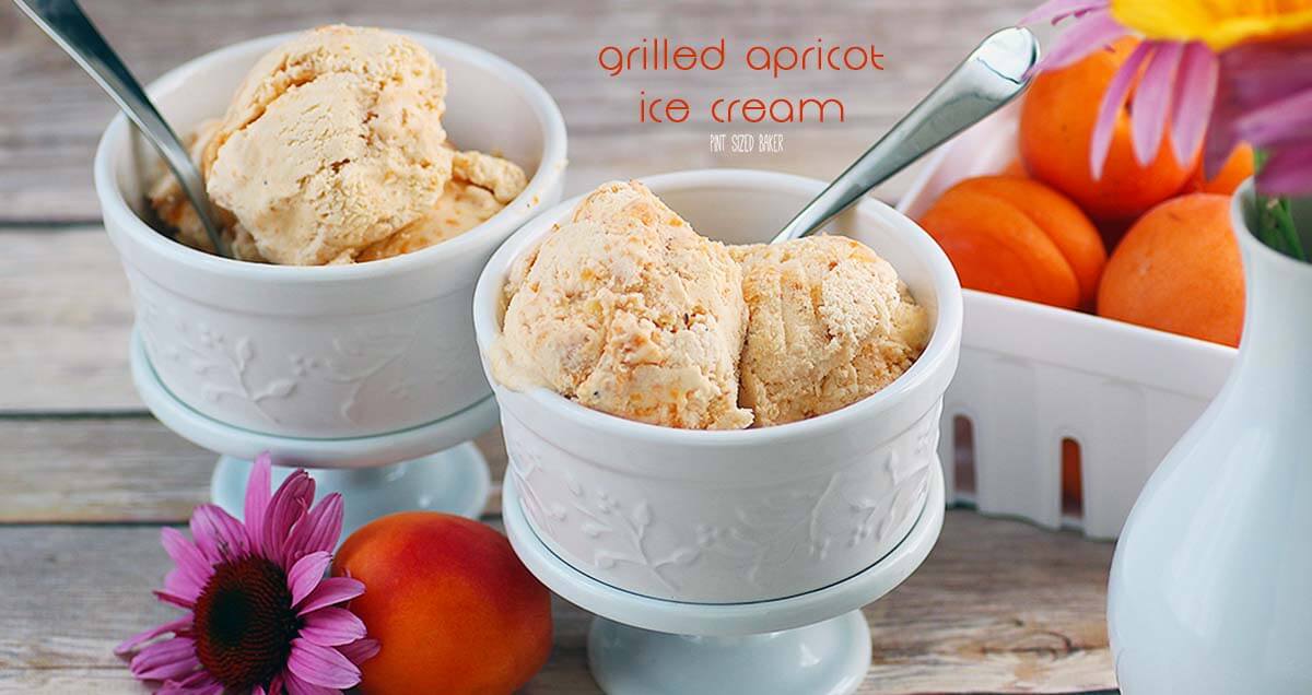 Apricot Ice Cream Pint Sized Baker Apricot Ice Cream Pint Sized Baker