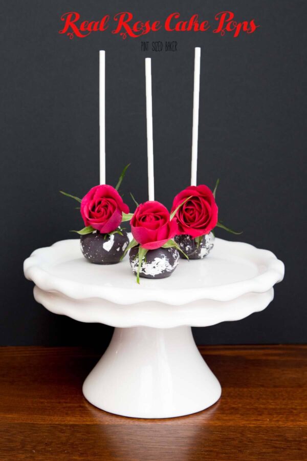 With Wedding Season in full swing, you'll love these easy and beautiful Real Rose Cake Pops that will blow your guests away!