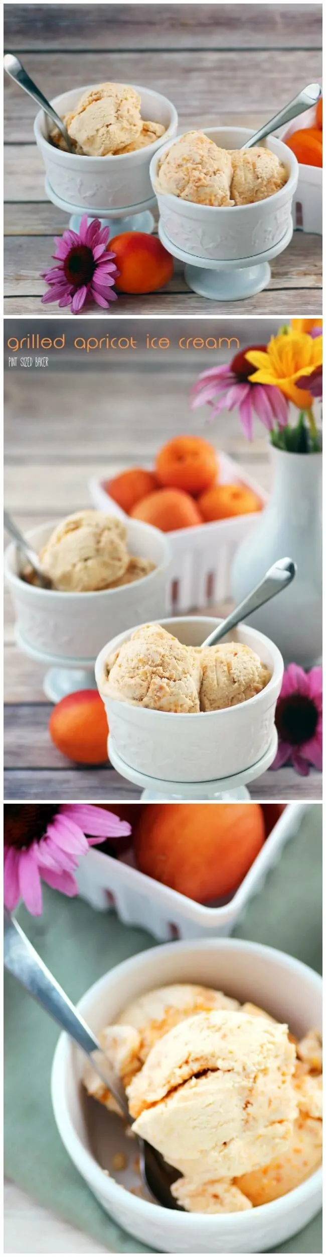This apricot ice cream is sure to be your new favorite summer dessert! Pick up some fresh apricots and then turn them into a decadent frozen treat! 