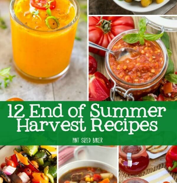 12 End of Summer Harvest Recipes that you can make to use up your tomatoes, zucchini, basil, squash, and more.