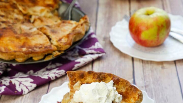 Homemade Cranberry Apple Pie