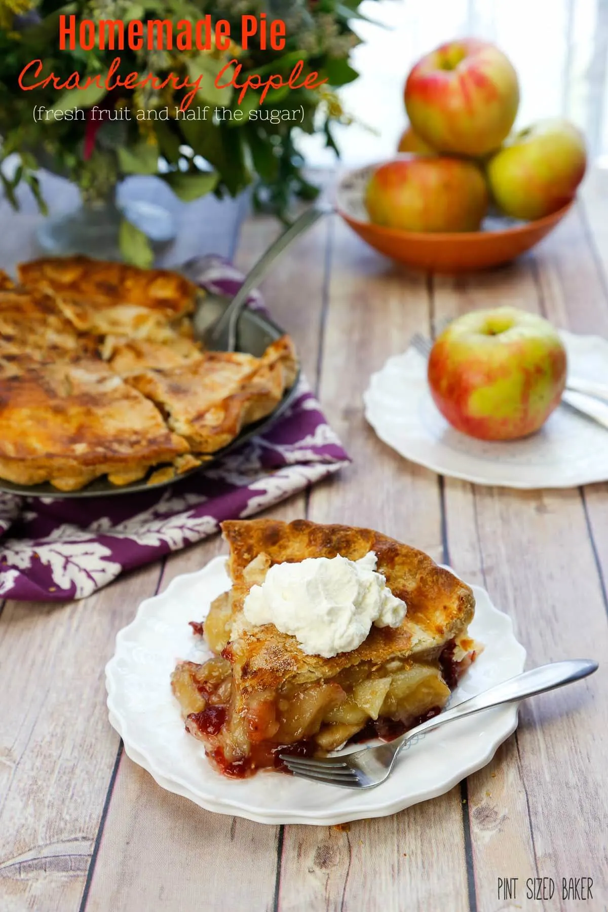 Homemade Cranberry Apple Pie
