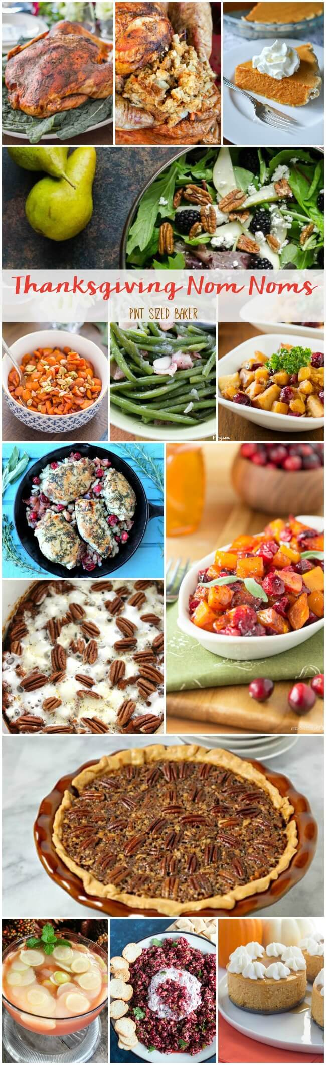 I've got all the Thanksgiving Nom Noms here for your menu. The perfect Turkey, stuffing, salad, potatoes, green beans and pumpkin pie! YUM!