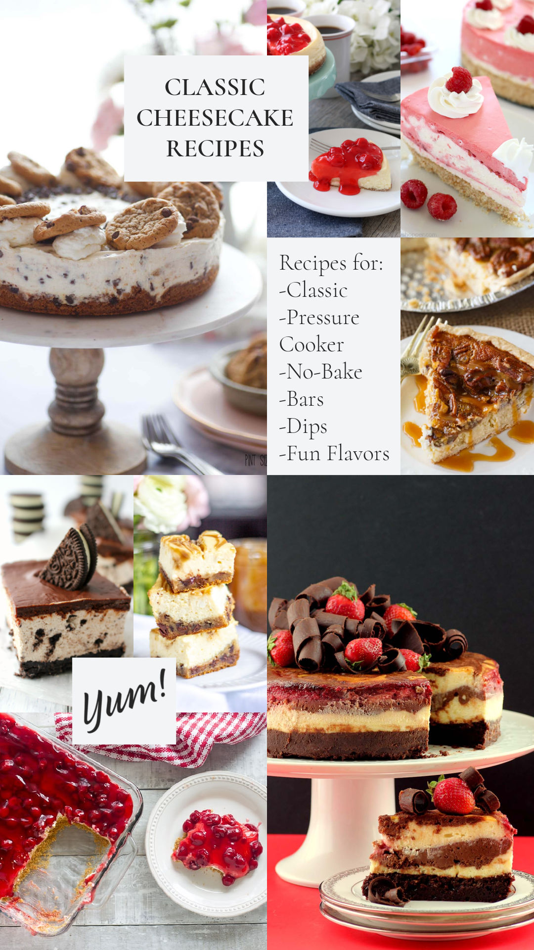 Here are some of my favorite Classic Cheesecake Recipes to get you inspired to get into the kitchen and make your family a dessert they love.