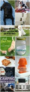 10 awesome Dog Recipes, Accessories, and DIY for you to make for your beloved Fido. My dog brings me so much happiness, and I try to make him just as happy!