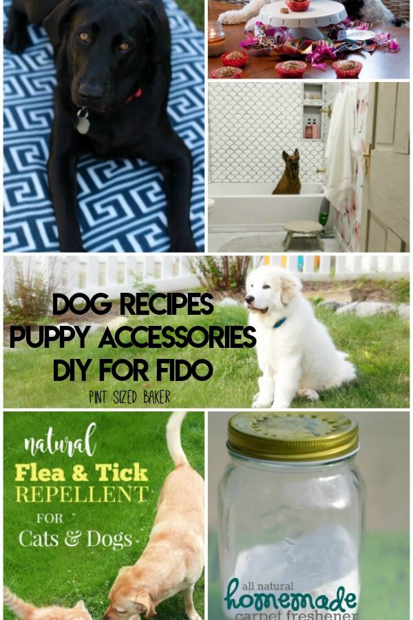 10 awesome Dog Recipes, Accessories, and DIY for you to make for your beloved Fido. My dog brings me so much happiness, and I try to make him just as happy!