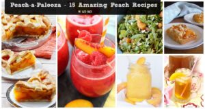 August is National Peach Month so enjoy the Peach-a-Palooza at the farmer's market and make some of these 15 Amazing Peach Recipes.