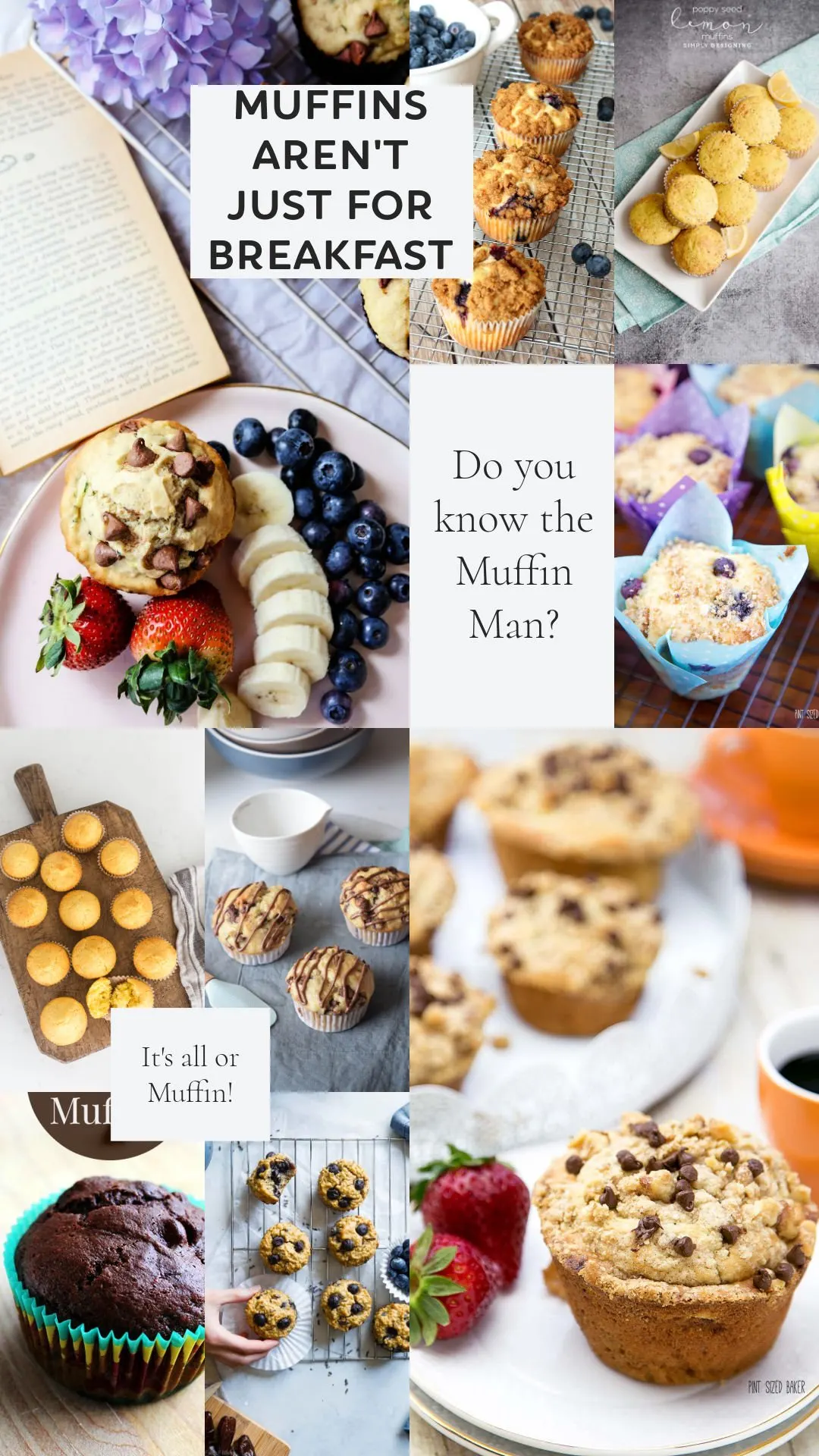 Send your kids back to school with a freezer full of homemade muffins ready for them. 15 Muffin Recipes to make in advance for breakfast.