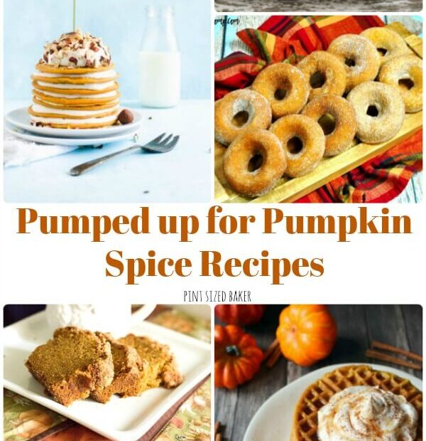Get Pumped up for Pumpkin Spice Recipes! I've got 15 amzing Pumpkin Spice Recipes for breakfast, snack, and dessert! Get you Pumpkin Spice loving ON!