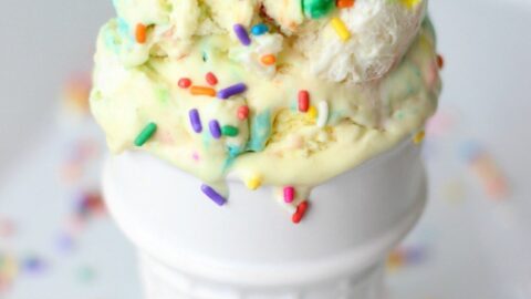 celebration cake batter ice cream