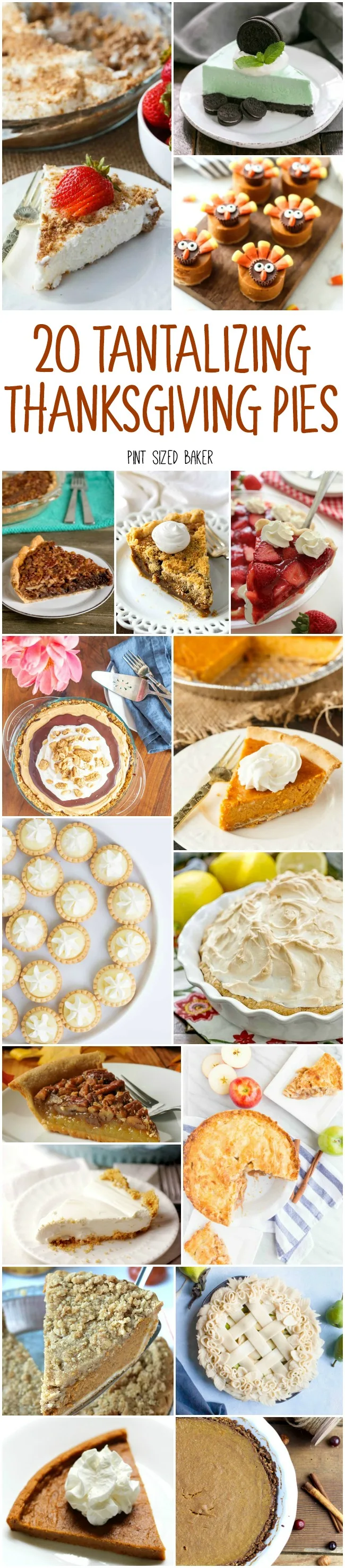 've got 20 Tantalizing Thanksgiving Pies for your fall dessert planning. There are classic pie recipes, some no-bake pies, and a few unique flavors to try. 