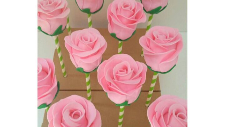 Image for Pink Roses