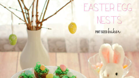 Easter Egg Nests 5a