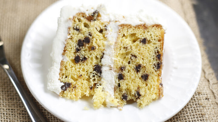Easy Chocolate Chip Cake Feature