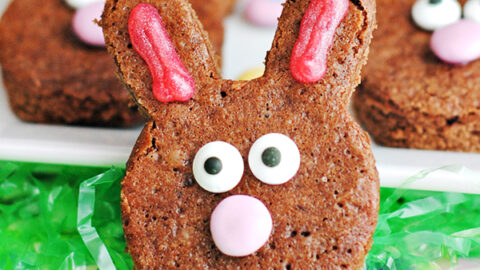 Easter Bunny Approved Desserts 2 Image for Homemade Brownie Easter Bunnies Recipe