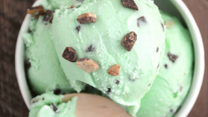 Andes Mint Chip Ice Cream 5 scaled