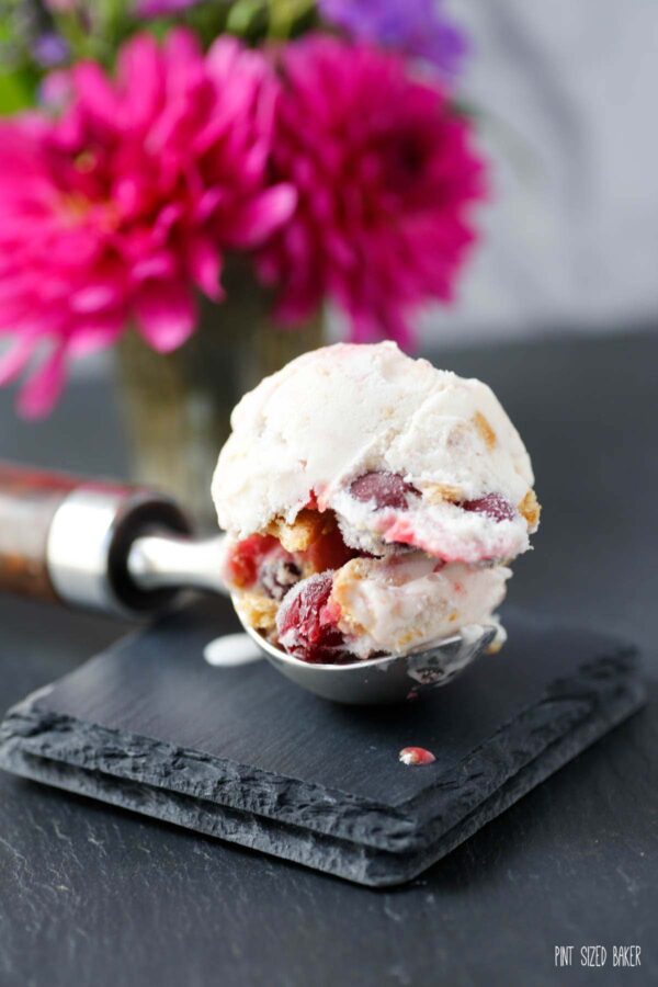 An Ice cream scooper with a scoop of cherry pie ice cream.