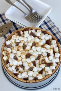Toasted marshmallows and chunks of chocolate finish off the top layer of a S'mores Ice Cream Cake.