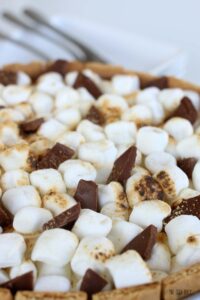 Closeup of toasted marshmallows and chunks of chocolate finish off the top layer of a S'mores Ice Cream Cake.