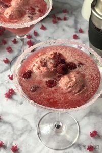 Wineberry sorbet in a martini glass.