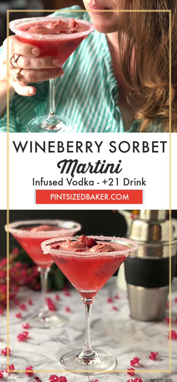Wineberry Sherbet Martinis are a great summer drink to enjoy with your girlfriends. Homemade sherbet and infused vodka make this drink amazing!