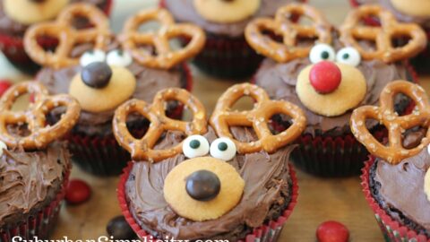 Reindeer Brownie Recipe 22