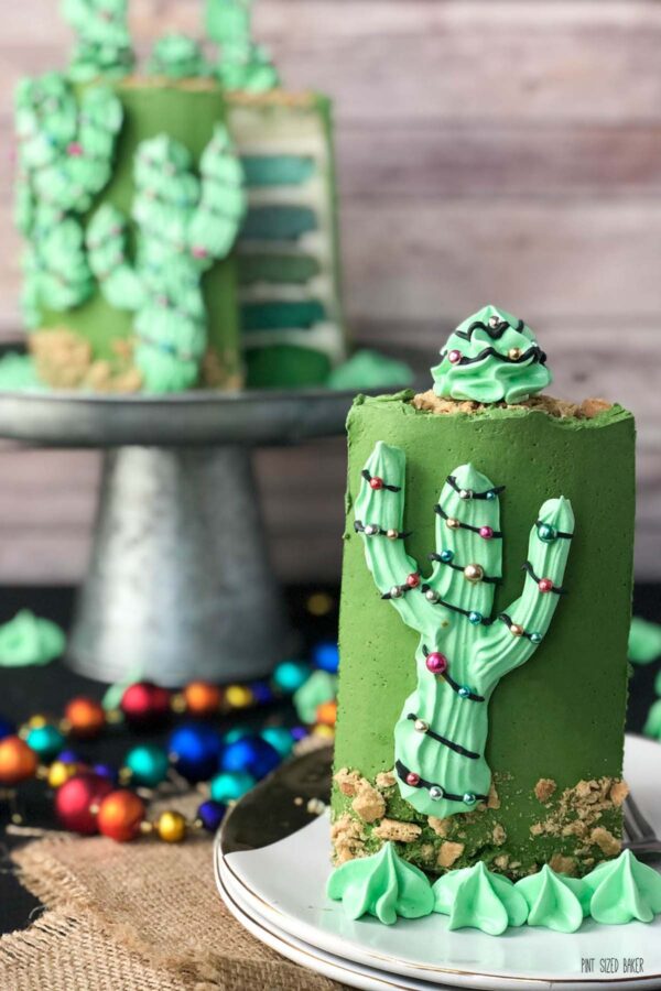 A large slice of the cake with a cactus and the cake in the background.