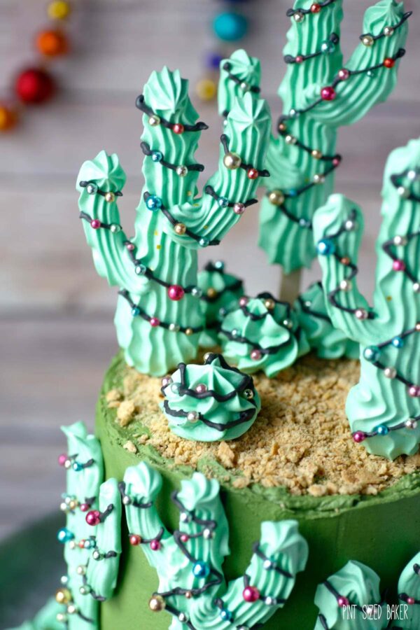 A close up view of the Christmas Cactus Cake with the graham cracker topping and ragged edge.