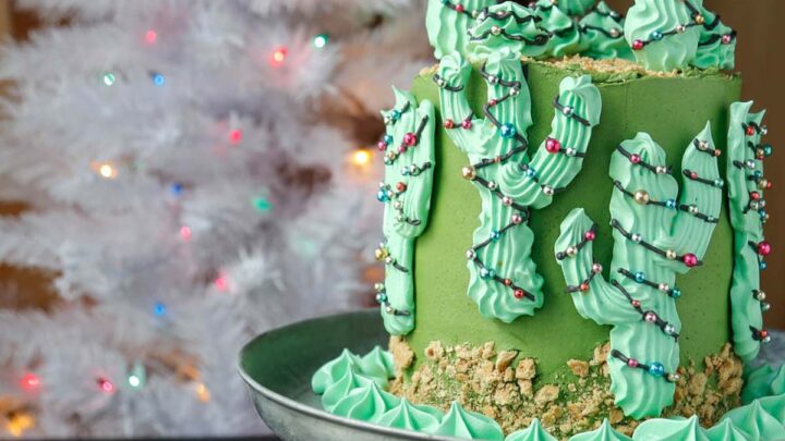 Christmas cactus cake FONT