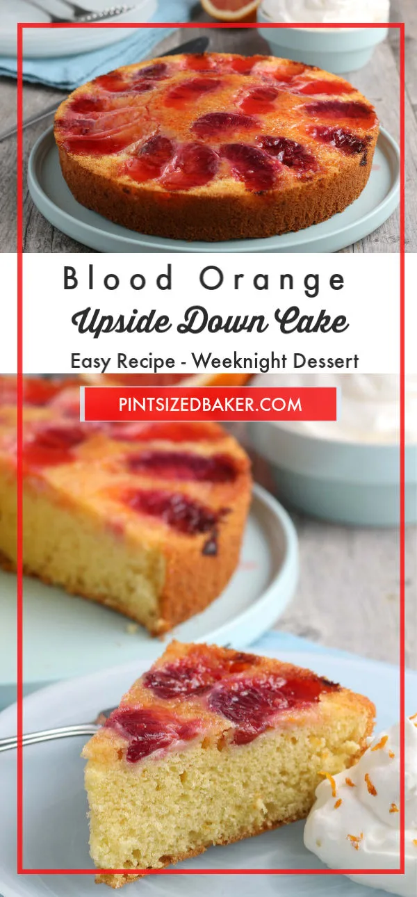 This Blood Orange Olive Oil Snack Cake is very sweet and subtle. This recipe has basic ingredients that turns into an amazing treat.