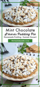 Love s'mores on a summer night? Then you're going to love this Mint Chocolate S'mores Pie with just a few store bought ingredients, it's sure to please the family.