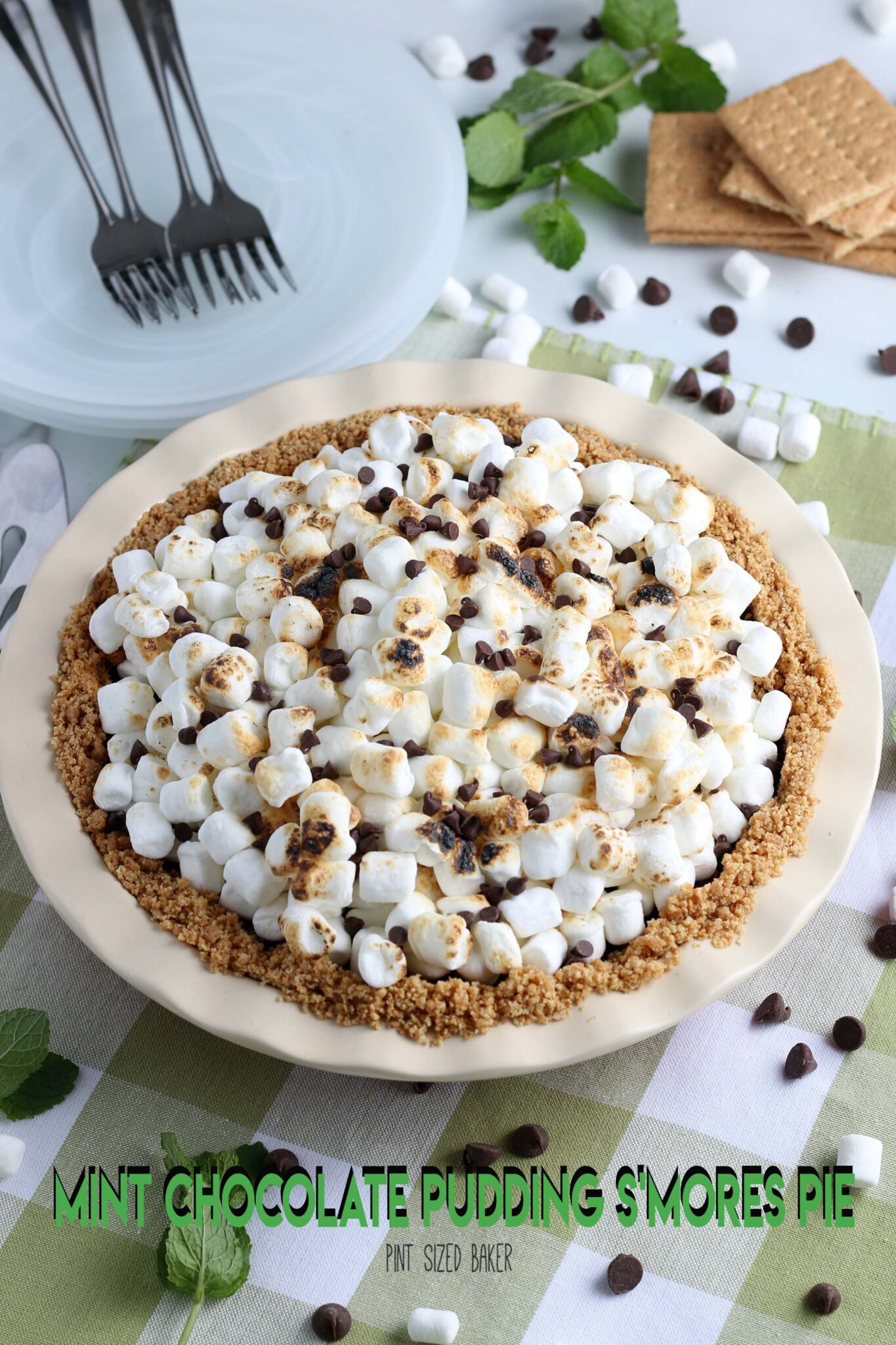 Chocolate Pudding Mini S'mores Pies • Pint Sized Baker