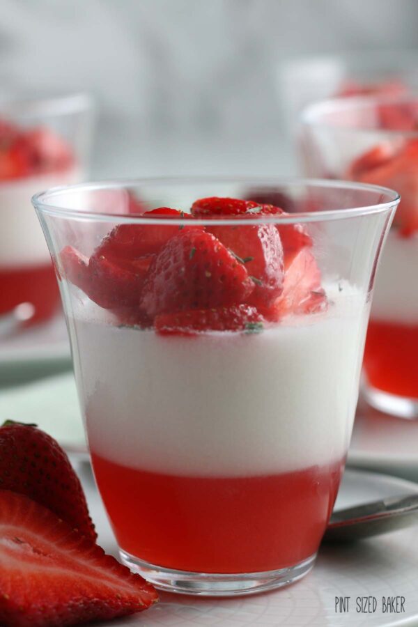 An up close view of the finished strawberry coconut panna cotta dessert ready to be shared or devoured. 