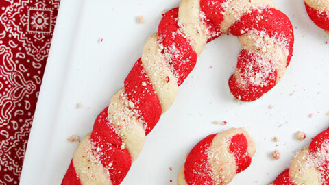 Amazing Christmas Treats 11 Image for Christmas Candy Cane Cookies Recipe