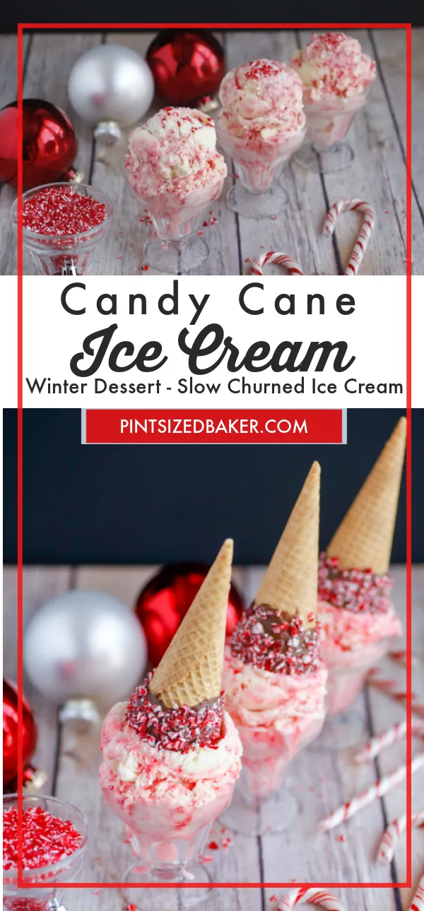 Candy Cane Ice Cream in a Bag Recipe