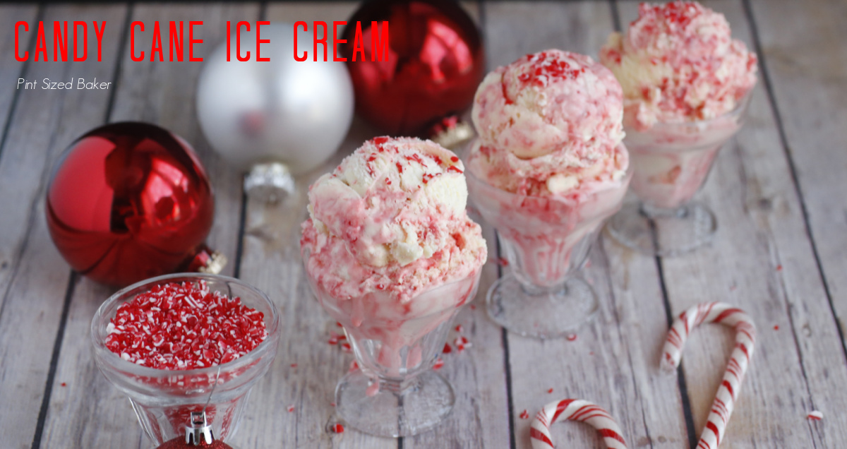 Candy Cane Ice Cream in a Bag Recipe