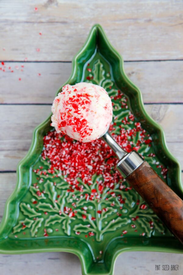 A photo of a scoop of ice cream in a green Christmas tree plate with lots of candy cane bits.