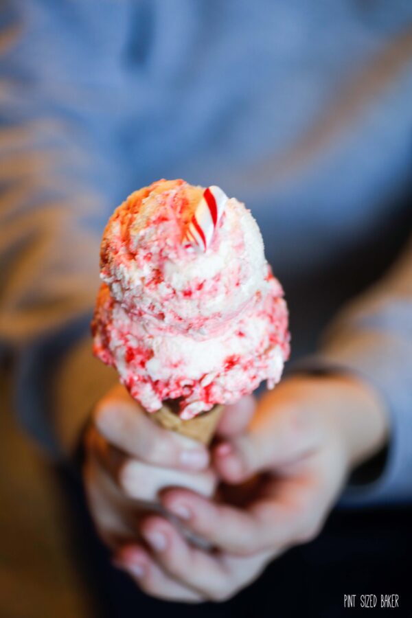 A photo of hands holding a cone full of candy cane ice cream.