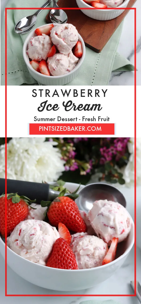 Make a cold treat for yourself and the family with this flavorful Homemade Strawberry Ice Cream recipe. It is easy to make and far better than the ice cream options available at the store because of its fresh taste.
