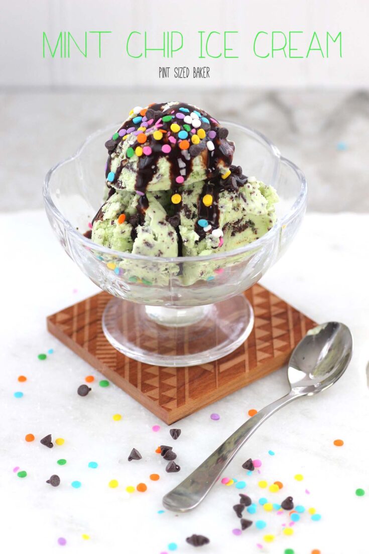 Mint Chip Ice Cream