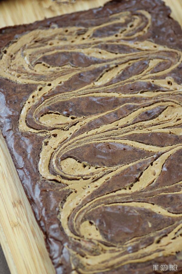 Unsliced peanut butter brownies highlighting the swirled design.
