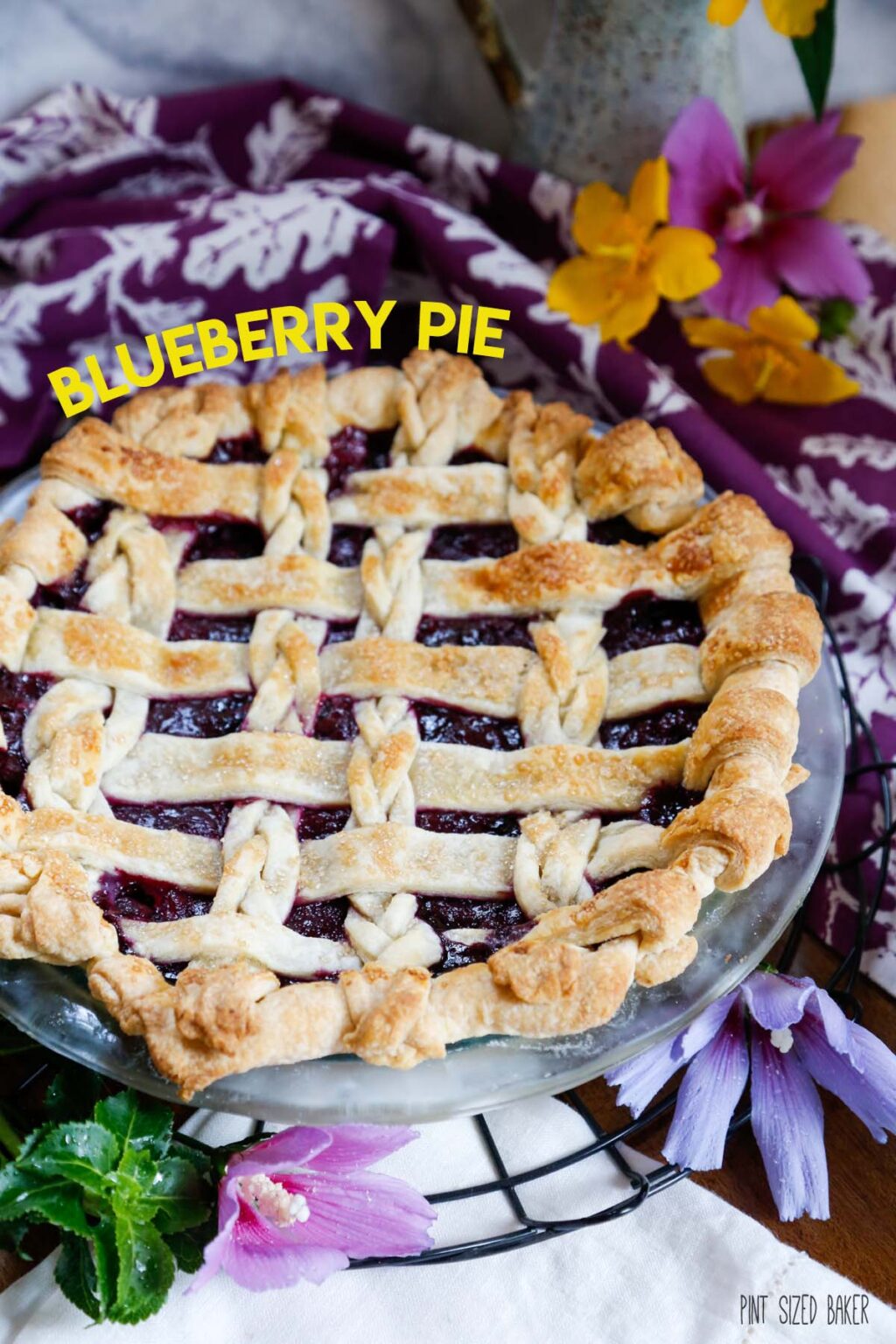 Blueberry Lemon Pie • Pint Sized Baker