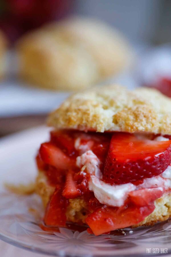 Up close image of the layers of biscuit, fresh strawberries and whipped cream. 