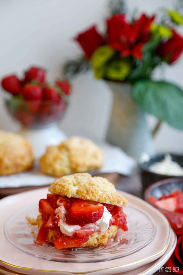 Strawberry Shortcake on a pink plate.