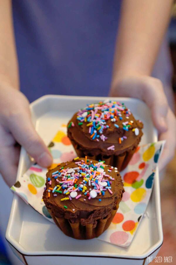 Serve up two chocolate cupcakes.
