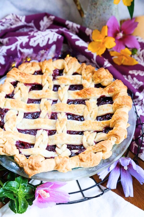 blueberry-lemon-pie2