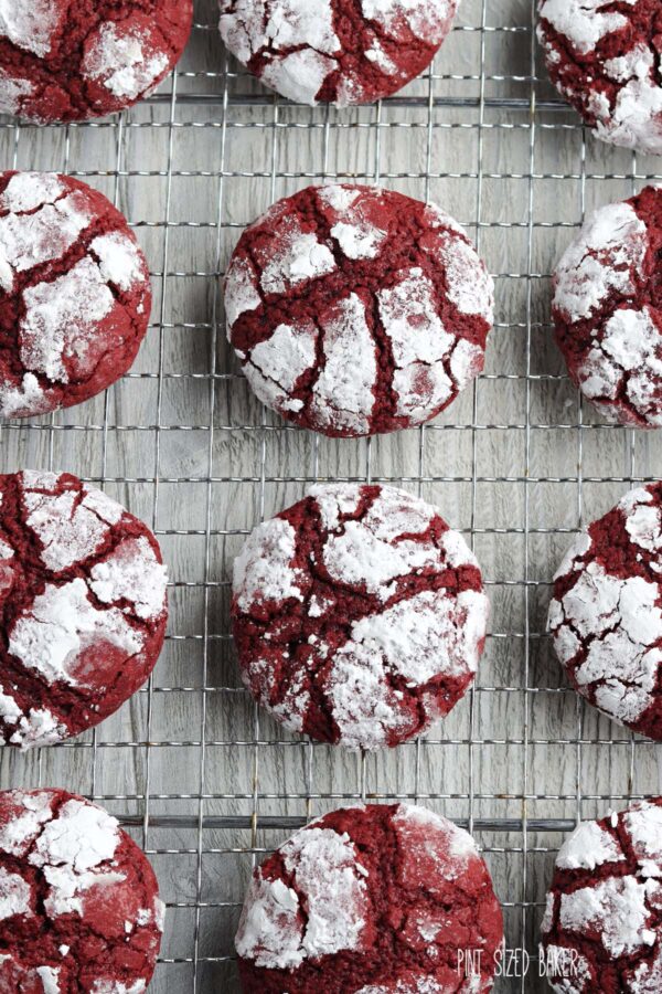Top down view to see all the crinkles in the powdered sugar. 